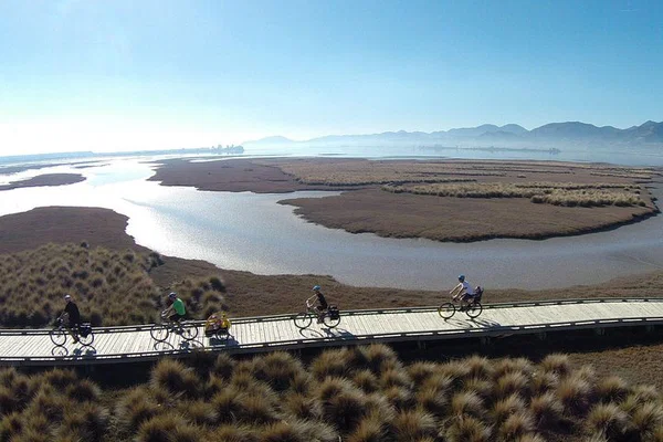 Nelson to Mapua: Cycle Through Tasman's Scenic Delights