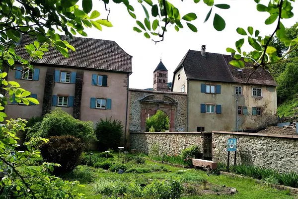 Alsace Safari: Noble Valley Half-Day Wine Tour