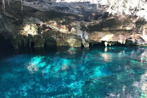 Tulum Cenote Adventure: Snorkel, Swim & Cliff Jump!