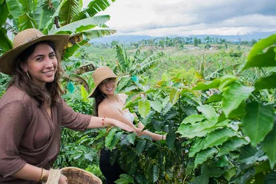 Unveiling Salento's Rich Brew: A Coffee Lover's Journey