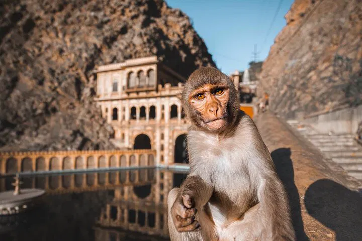 img0