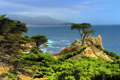 Unforgettable Coastal Drive: Carmel & Monterey Hwy 1 Tour