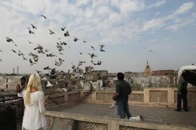 Old Delhi Culture Walk & Kite Flying: A Heritage Adventure