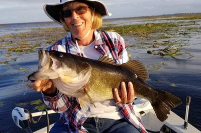 Lake Okeechobee Bass Fishing Trip Near Fort Pierce