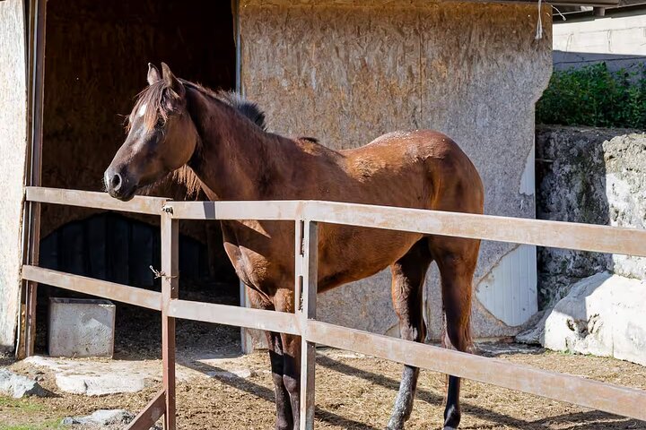 Experience Image img3