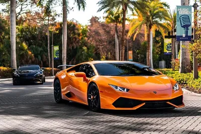 Naples' Exotic Car Dream: Lunch & Luxury Drive