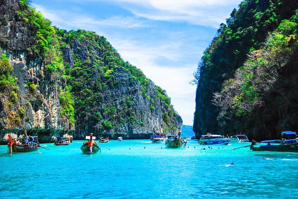 Discover Paradise: Private Phi Phi & Bamboo Island Speedboat Snorkeling