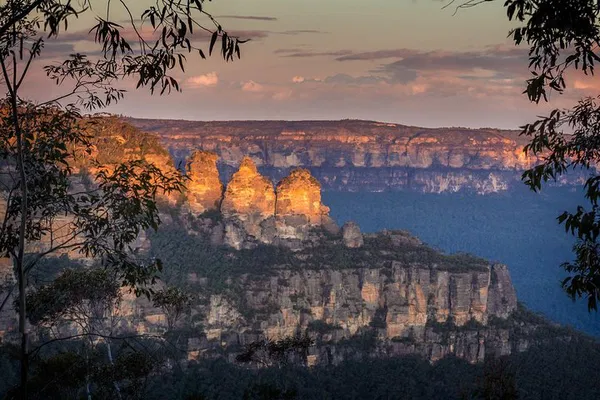Blue Mountains Private Tour: Kangaroos & Koala Experience