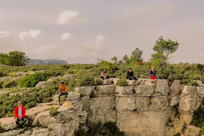 Image 2