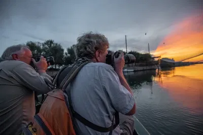 Pialassa Baiona Birdwatching: A Slow Boat to Natural Wonders