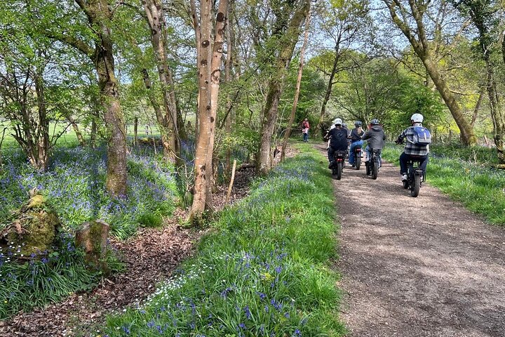 Experience Image img2