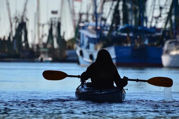 Shem Creek Kayak Safari: Paddle into Charleston's Wild Side!