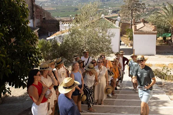 Álora Wine Tour: Castle Views & 4 Wine Tastings