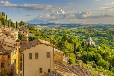 Discover Italy's Finest: Montepulciano Wine Tasting Journey