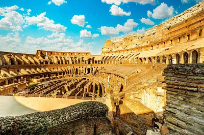 Colosseum Gladiator Arena Tour: Rome's Best Access!