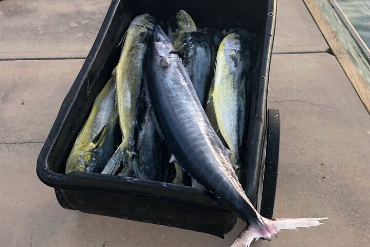 Experience Image img1