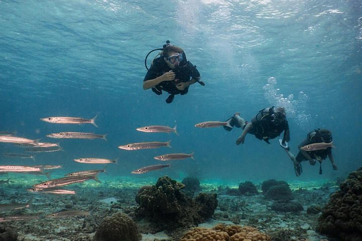 Experience Image img3