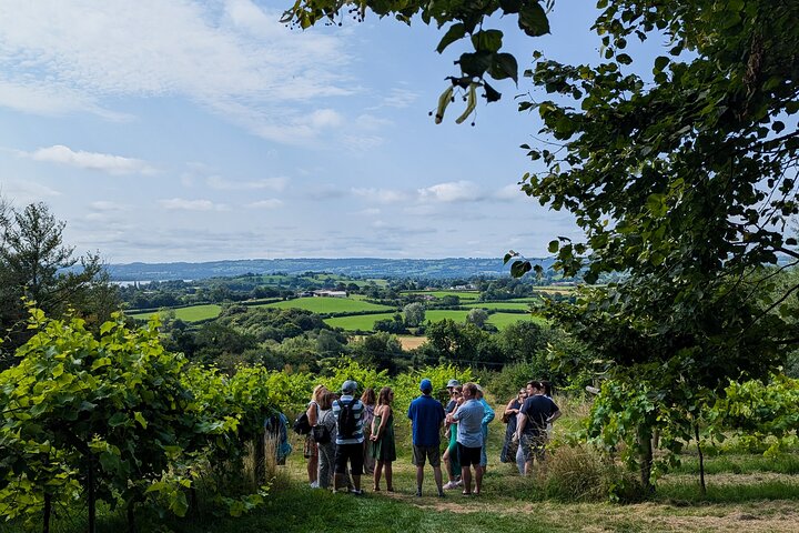 Experience Image img3