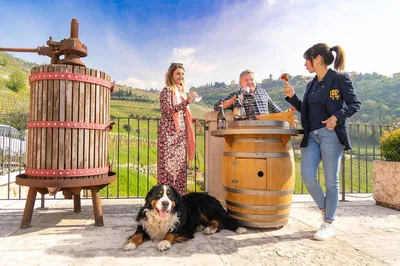 Valpolicella Wine Tour: Amarone, Wineries & Veronese Delights