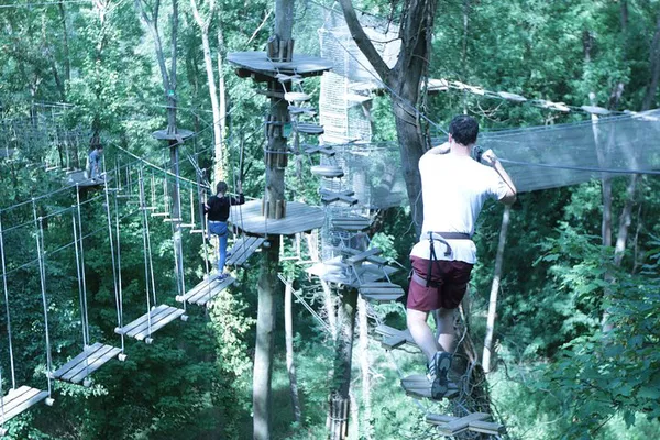 Conquer the Canopy: Thrilling Tree Top Adventures in Rueil-Malmaison!