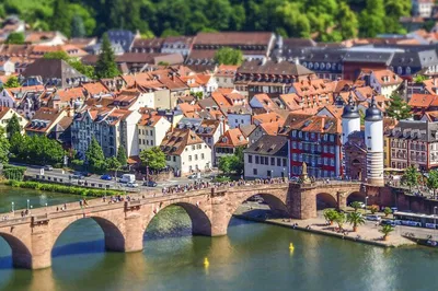 Heidelberg's Best: A Local's Private Food, Culture & Sightseeing Tour