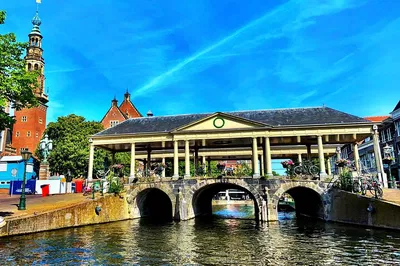Leiden City Tour: Live Guide & Canals - Netherlands