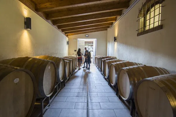 Barolo Wine Tour: Taste Italy's Best from Alba