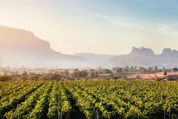 Uncork Nashik: Sula Vineyards Private Wine Tour from Mumbai