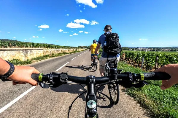 Burgundy Vineyards: A Cycling & Tasting Adventure