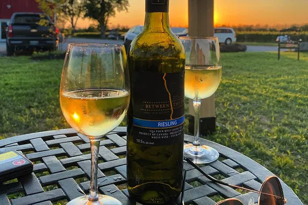 Niagara: Twilight Wine Tour & 3-Course Dinner