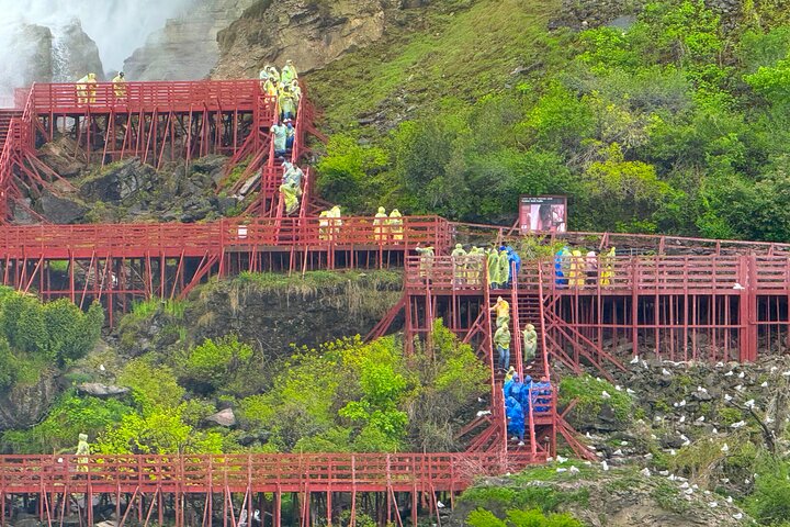 Experience Image img2