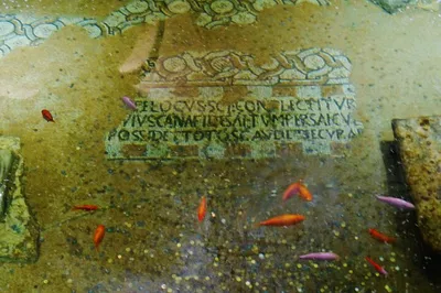 Unveiling Ravenna's Mosaic Treasures: A Private Port Excursion