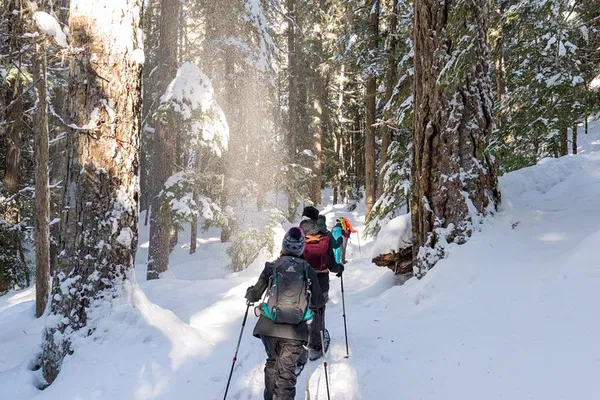 Whistler Snowshoe Tours: Backcountry Beauty!
