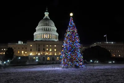 Dazzling DC Holiday Lights: A Festive Guided Tour