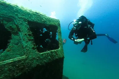 Image 1
