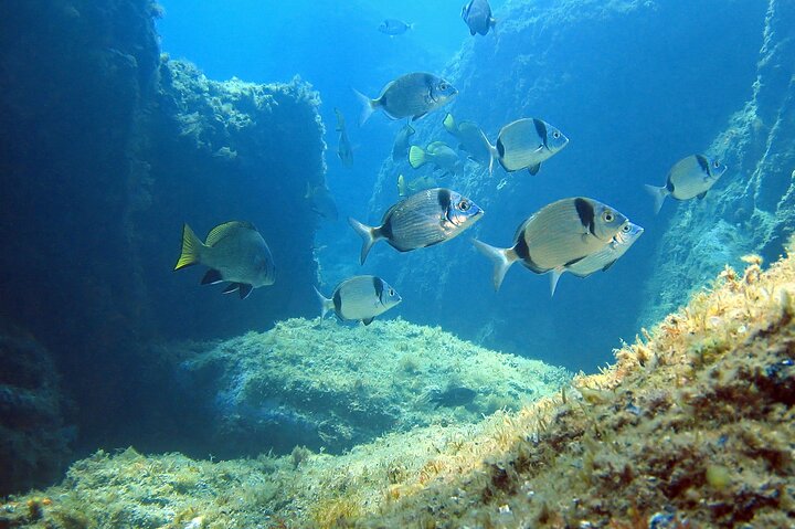 Experience Image img2