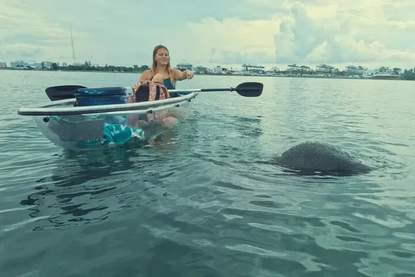 Sarasota Kayak Tour: See Dolphins & Manatees!