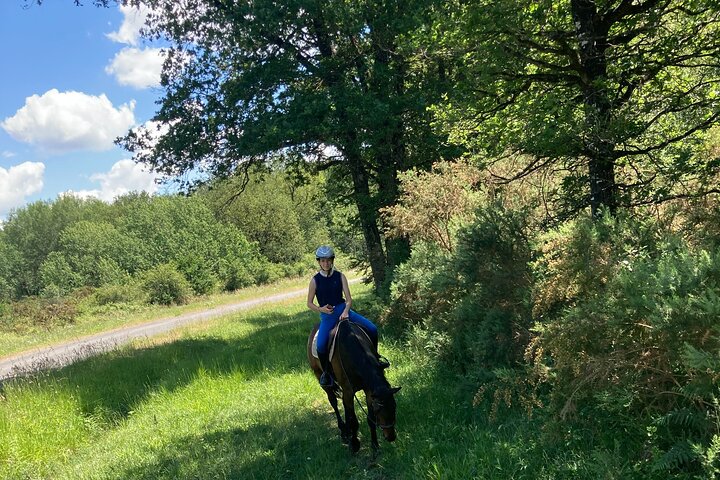 Experience Image img4