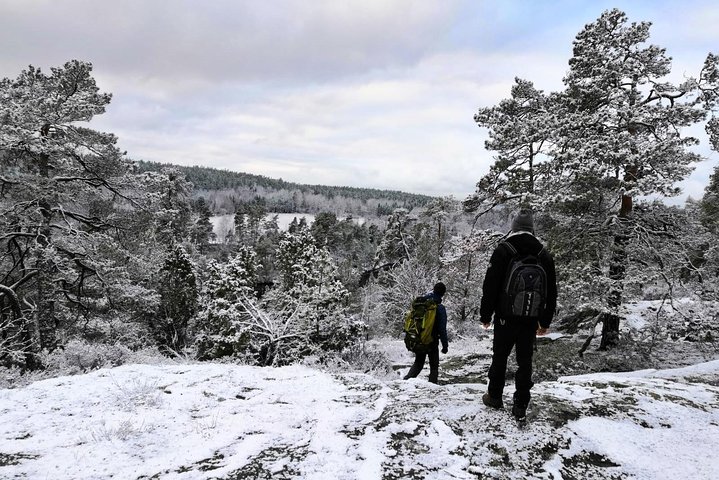 Stockholm Nature Hike: Small Group Forest Adventure