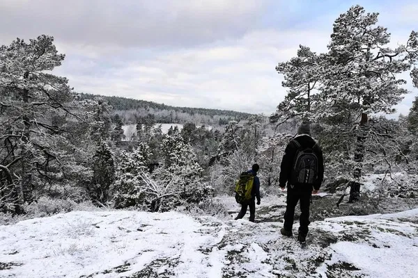 Stockholm Nature Hike: Small Group Forest Adventure