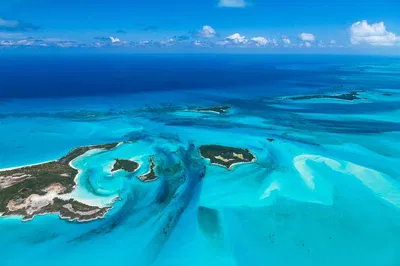 Bimini Bliss: Cruise & Free Ride to Bahamas Paradise!