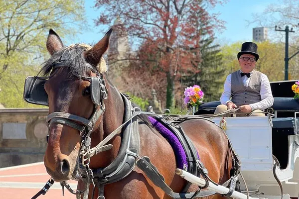 NYC Central Park Horse & Carriage Ride: 45-Minute Long Ride