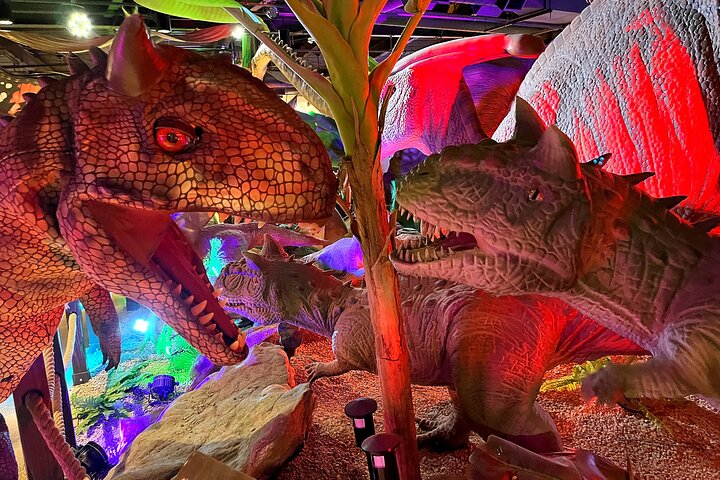 Experience Image img4