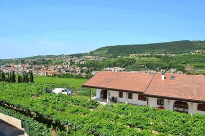 Discover Valpolicella: A Luxurious Wine Tour in Verona's Paradise