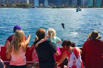 Discover Waikiki's Underwater Wonders: A Glass Bottom Boat Adventure!