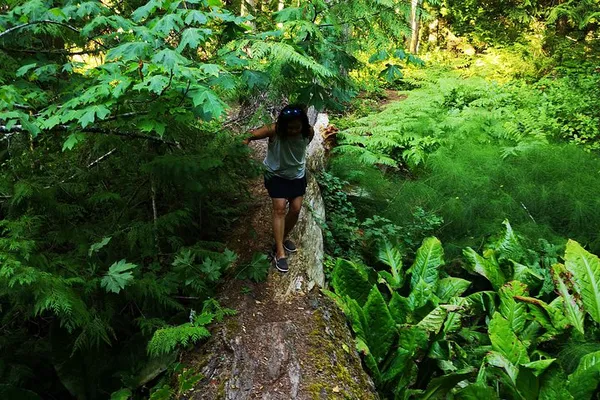 Victoria's Rainforest Escape: A Personalized Hiking Adventure