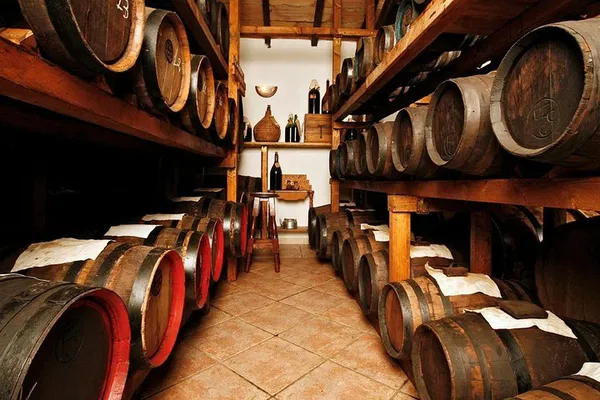 Discover Modena's Liquid Gold: Balsamic Vinegar Tour at Acetaia Cavedoni