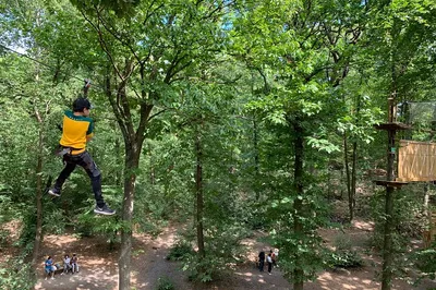 Elevated Adventure: Accrobranches & Forest Views in Saint-Germain-en-Laye