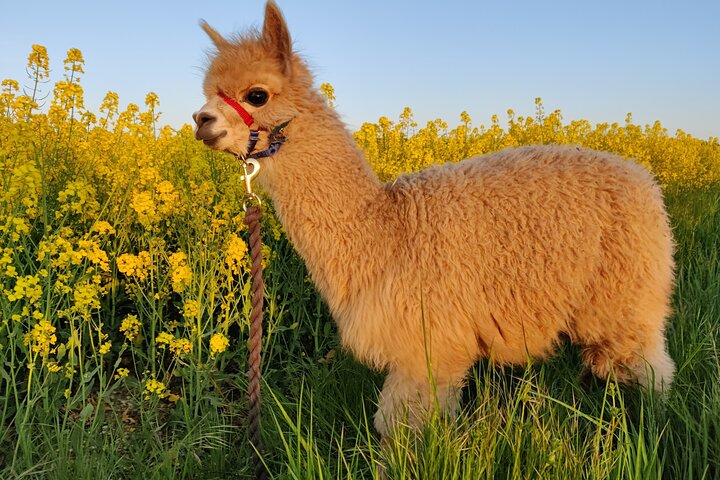 Experience Image img1