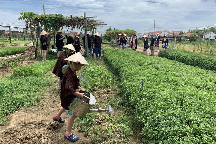 Experience Image img1